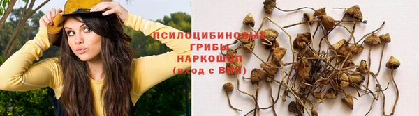 spice Балахна