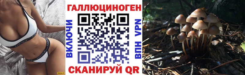 Галлюциногенные грибы GOLDEN TEACHER  hydra ссылки  Няндома 